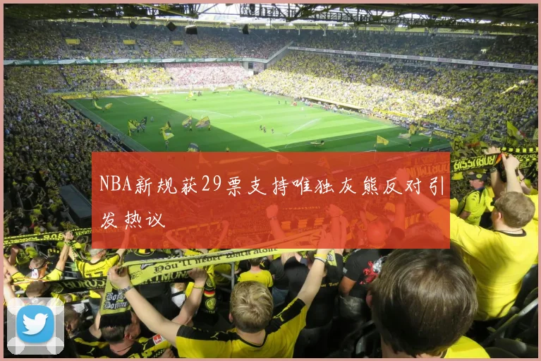 NBA新规获29票支持唯独灰熊反对引发热议
